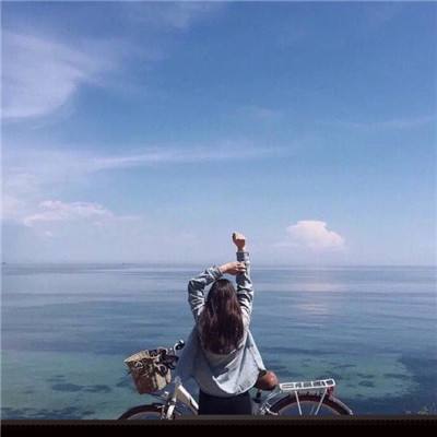 新宝十大登录平台