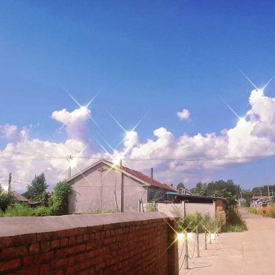 开全站登录app下载手机版